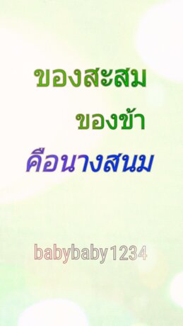 ของสะสมของข้าคือนางสนม