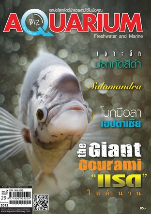 Aquarium Biz - Issue 29