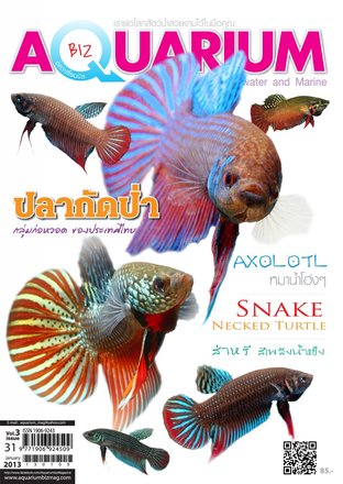 Aquarium Biz - Issue 31