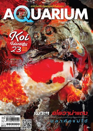 Aquarium Biz - Issue 32