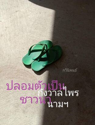 ปลอมตัวเป็นชาวนา