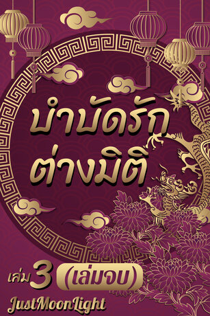 บำบัดรักต่างมิติ เล่ม 3 (จบ)