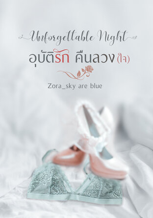 อุบัติรัก คืนลวง (ใจ) - Unforgettable Night