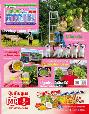 เทคโนโลยีชาวบ้าน ฉบับที่ 771