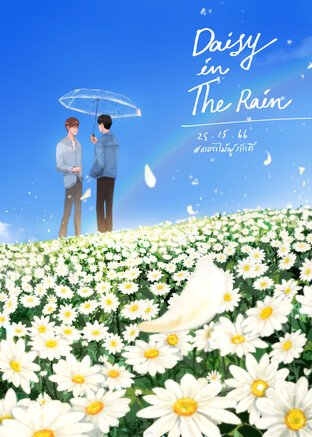 Daisy in the rain ดอกไม้ผู้ภักดี