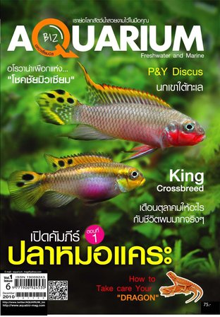 Aquarium Biz - Issue 6