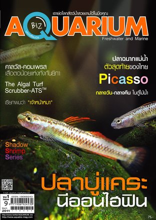 Aquarium Biz - Issue 9