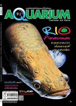 Aquarium Biz - Issue 12
