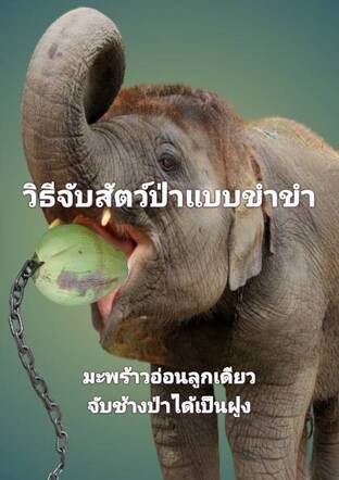 วิธีจับสัตว์ป่าแบบขำขำ