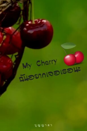 My Cherry ฉันอยากเจอเธอนะ