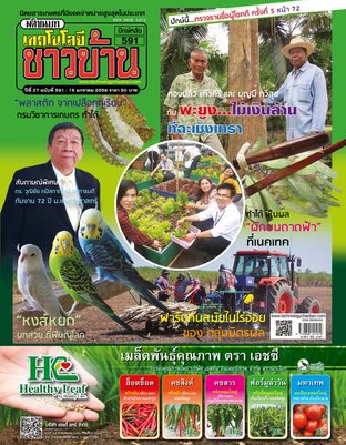 เทคโนโลยีชาวบ้าน ฉบับที่ 591