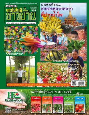 เทคโนโลยีชาวบ้าน ฉบับที่ 595