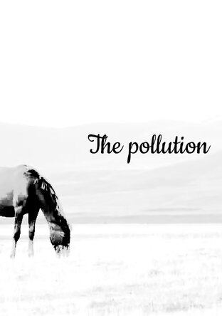 The Pollution