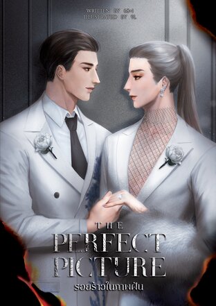 THE PERFECT PICTURE รอยร้าวในภาพฝัน