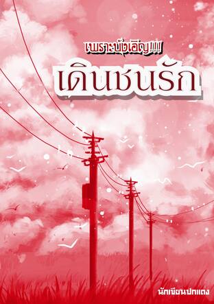 เพราะบังเอิญ เดินชนรัก