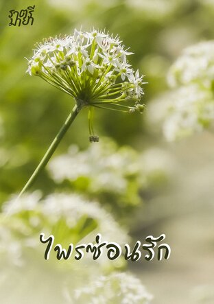 ไพรซ่อนรัก