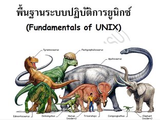 พื้นฐานระบบปฏิบัติการยูนิกซ์ (Fundamentals of UNIX)