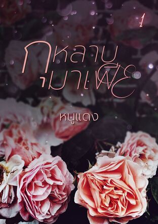 กุหลาบมาเฟีย เล่ม 1