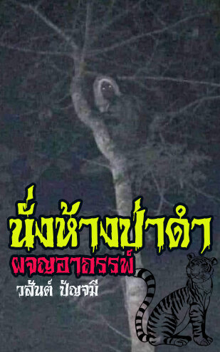 ผจญอาถรรพ์นั่งห้างป่าดำ