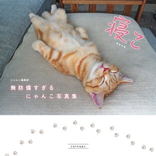 Sleeping Cat. Defenseless Kitten Photobook