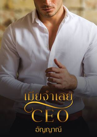 เมียจำเลย CEO