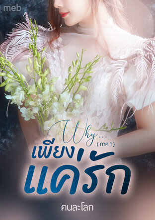 Why...เพียงแค่รัก ( ภาค 1 )