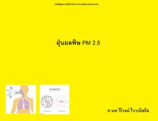 ฝุ่นมลพิษ PM 2.5