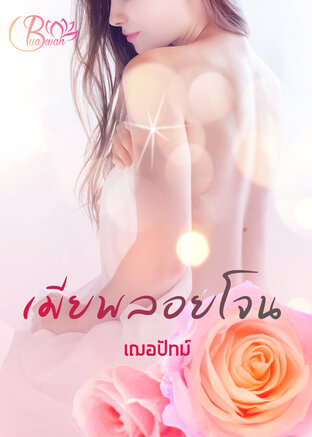 เมียพลอยโจน (One night)