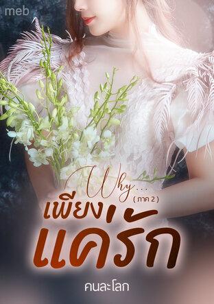 Why...เพียงแค่รัก ( ภาค 2 )