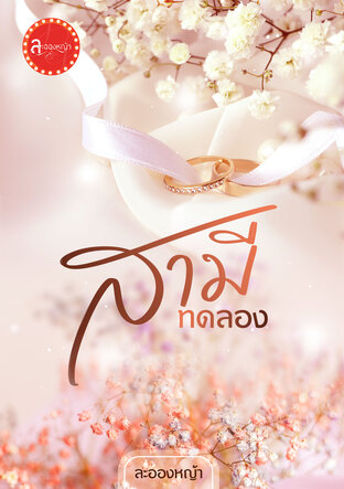 สามีทดลอง (ซีรีส์ ตระกูลแอมเมอร์สัน)