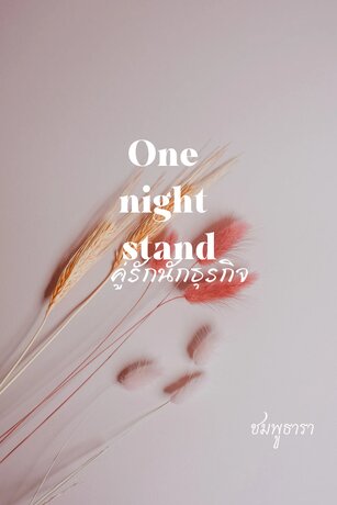 One night stand คู่รักนักธุรกิจ