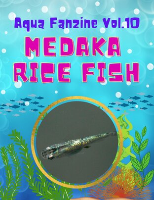 Aqua Fanzine Vol.10 : Medaka Rice Fish