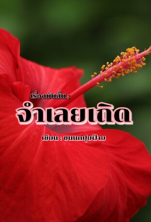 เรื่องมันสั้น : จำเลยเถิด