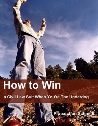 How to Win a Civil Law Suit When You're The Underdog