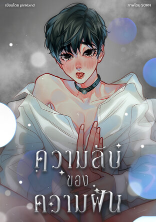 ความลับของความฝัน VOL.1