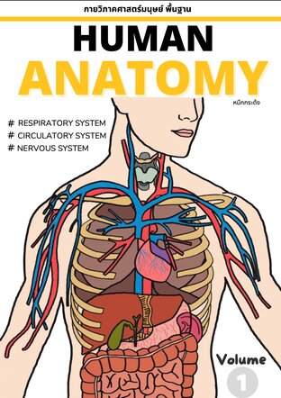 กายวิภาคศาสตร์พื้นฐาน (ร่างกายของมนุษย์) - Human Anatomy