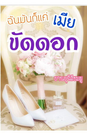 ฉันมันก็แค่เมียขัดดอก