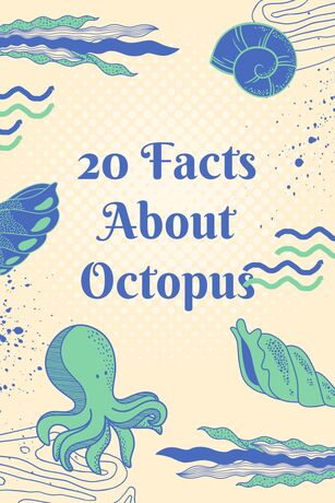 20 Facts About Octopus