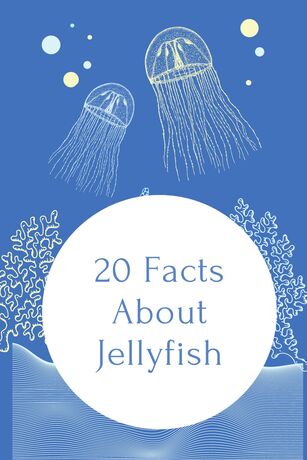 20 Facts About jellyfish