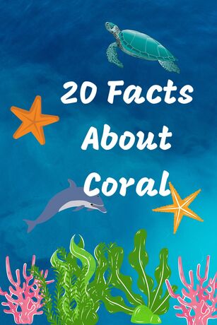 20 Facts About Coral