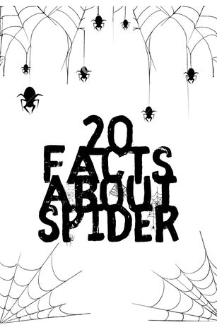 20 Facts About Spider