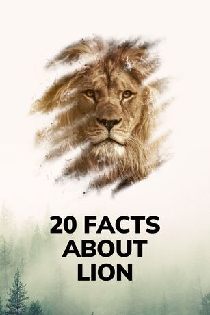 20 Facts About Lion