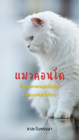 แมวคอนโด