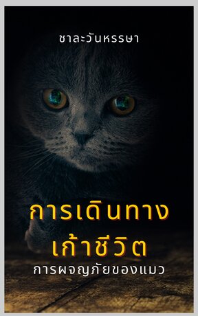 การเดินทางเก้าชีวิต