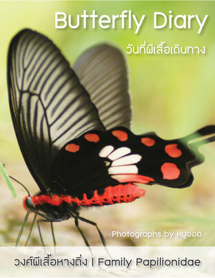 Butterfly Diary วันที่ผีเสื้อเดินทาง (วงศ์ผีเสื้อหางติ่ง | Family Papilionidae)