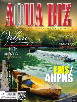 AQUA Biz - Issue 69
