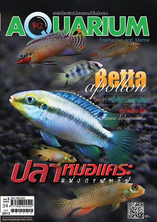 Aquarium Biz - Issue 34