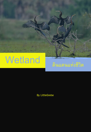 Lahan Wetland.