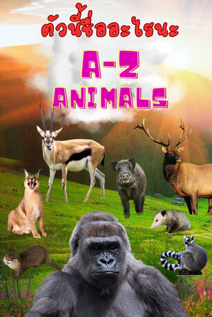 A-Z ANIMALS ตัวนี้ชื่ออะไรนะ