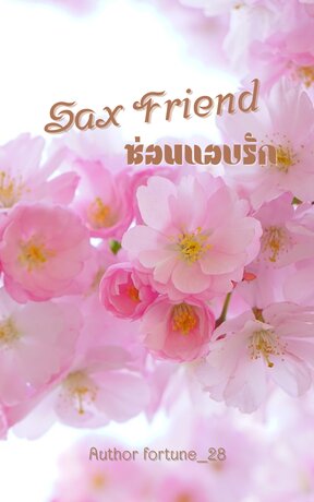 Sex Friend ซ่อนแอบรัก